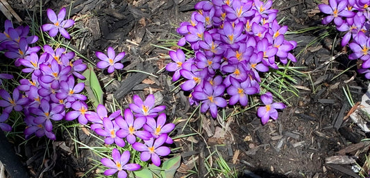 Happy April!