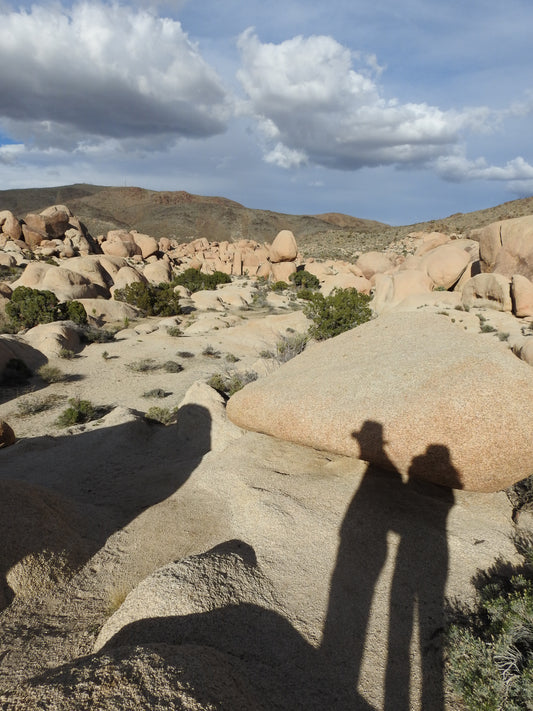 Our first destination was Joshua Tree