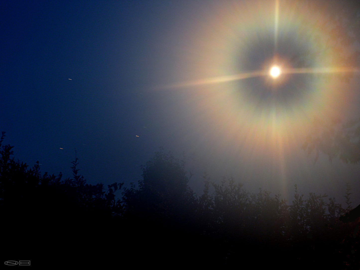 Photo's by Nicole Horlor, Lemoine Point, Kingston, ON, Canada