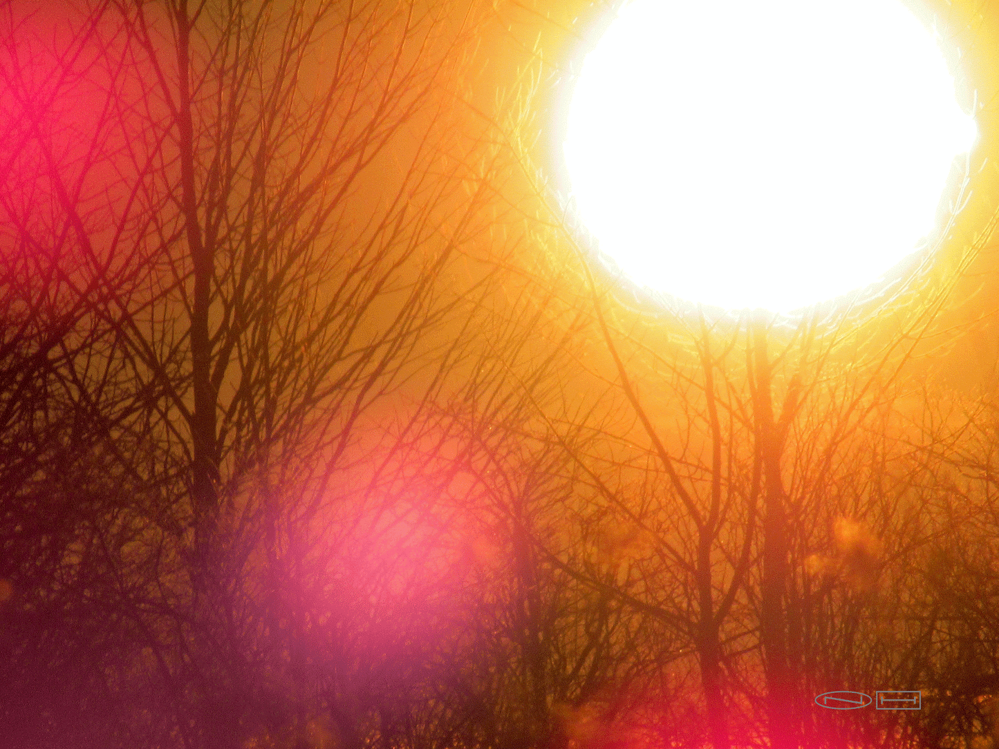 Photo's by Nicole Horlor, Lemoine Point, Kingston, ON, Canada