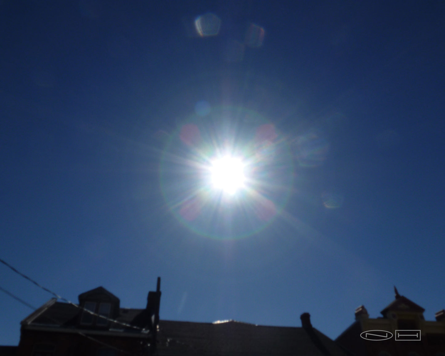 Photo's by Nicole Horlor, Lemoine Point, Kingston, ON, Canada