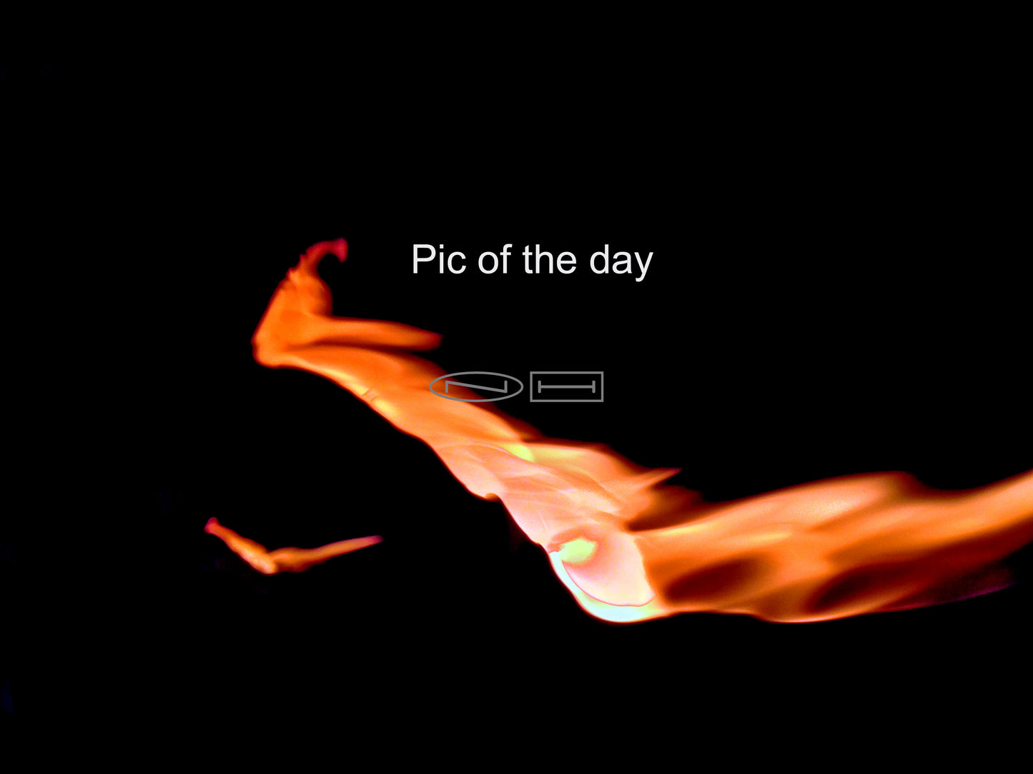 Day 2 A year on Fire