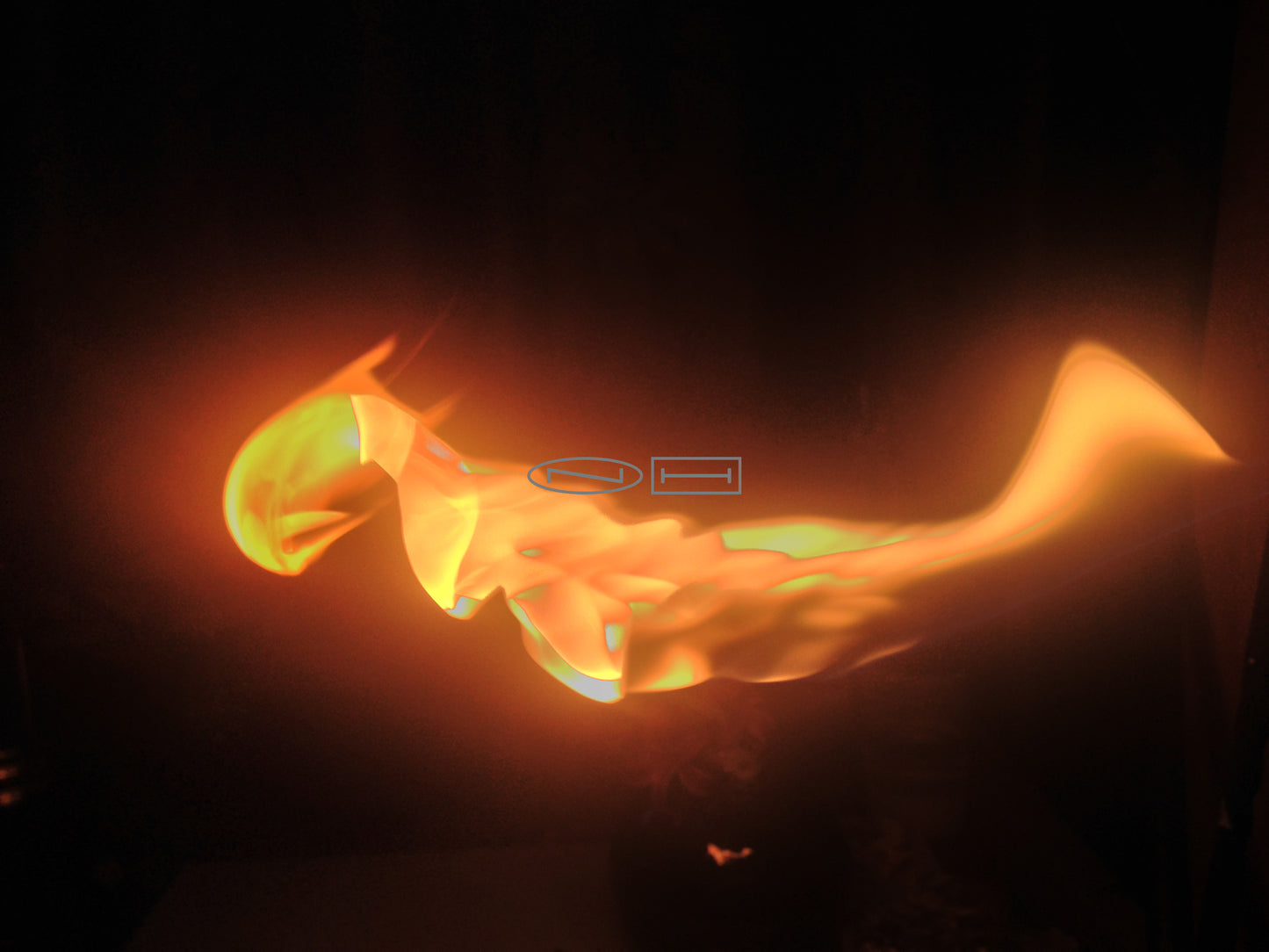 Day 6 A year on Fire