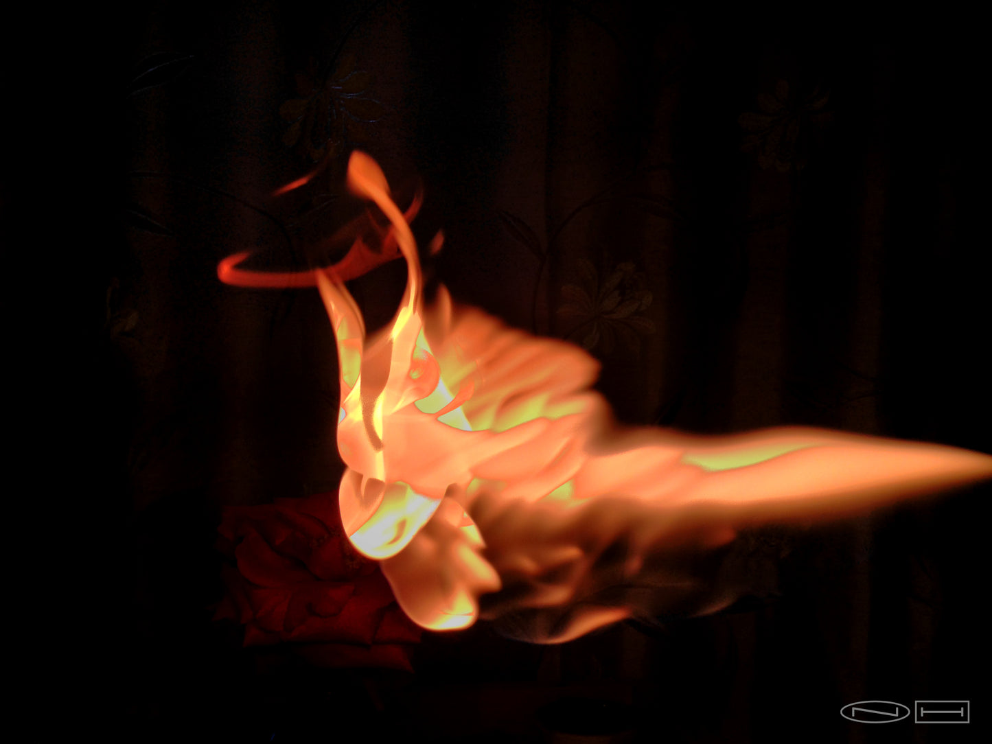 Photo's by Nicole Horlor, Lemoine Point, Kingston, ON, Canada