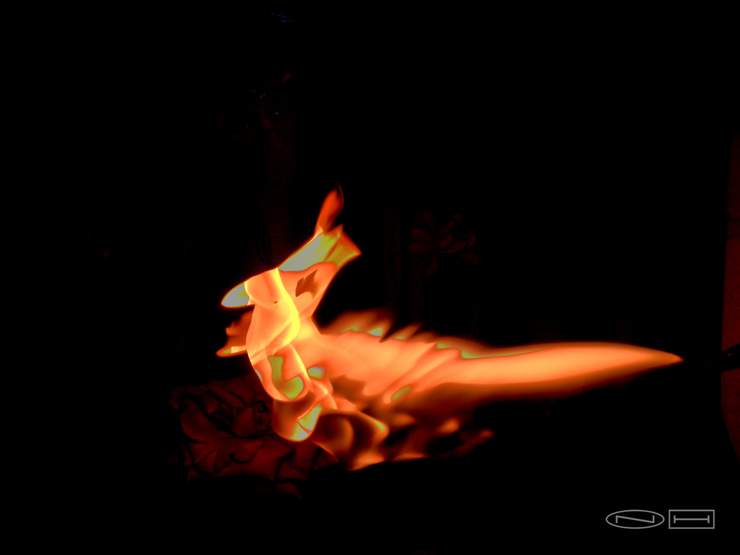 Photo's by Nicole Horlor, Lemoine Point, Kingston, ON, Canada