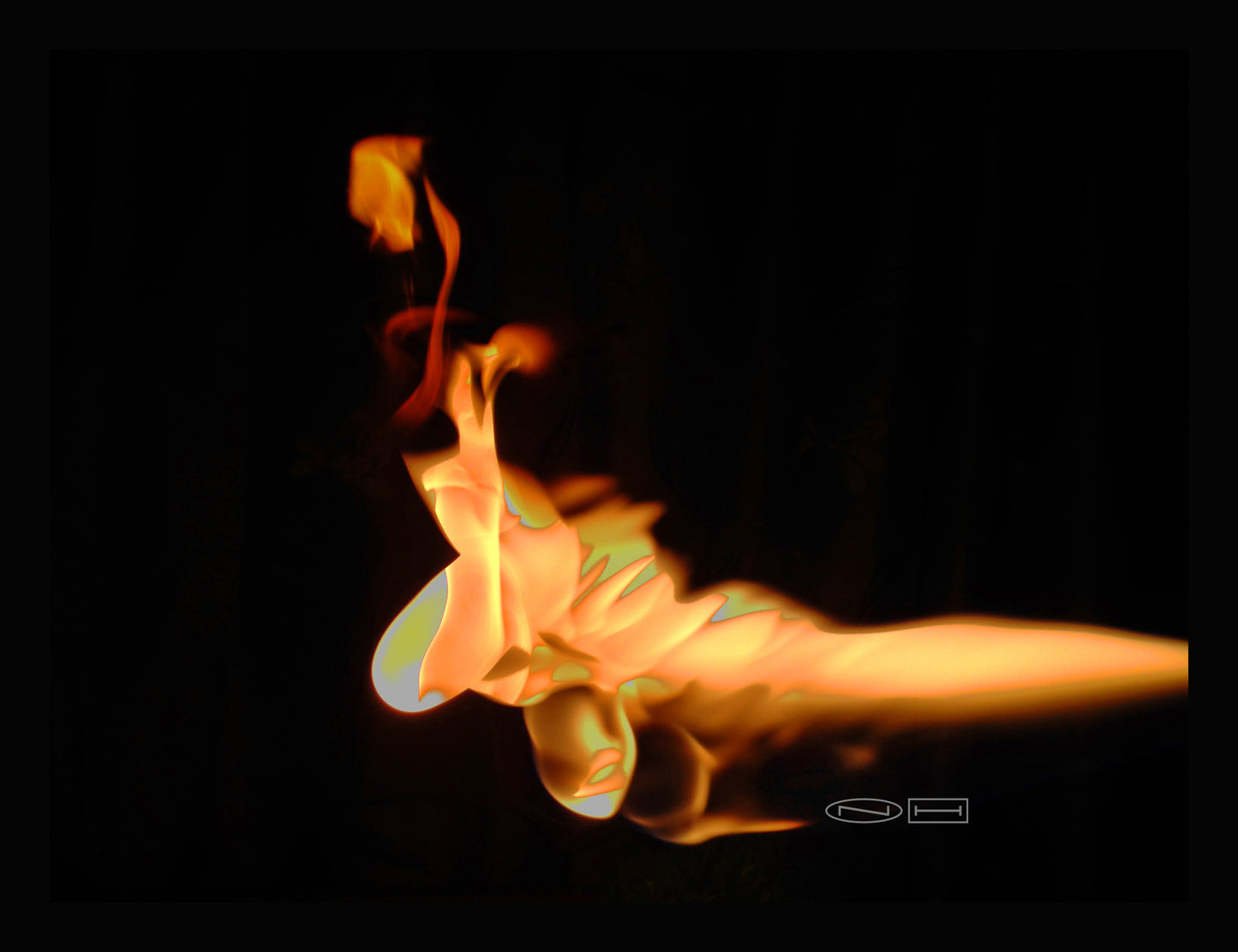 Photo's by Nicole Horlor, Lemoine Point, Kingston, ON, Canada