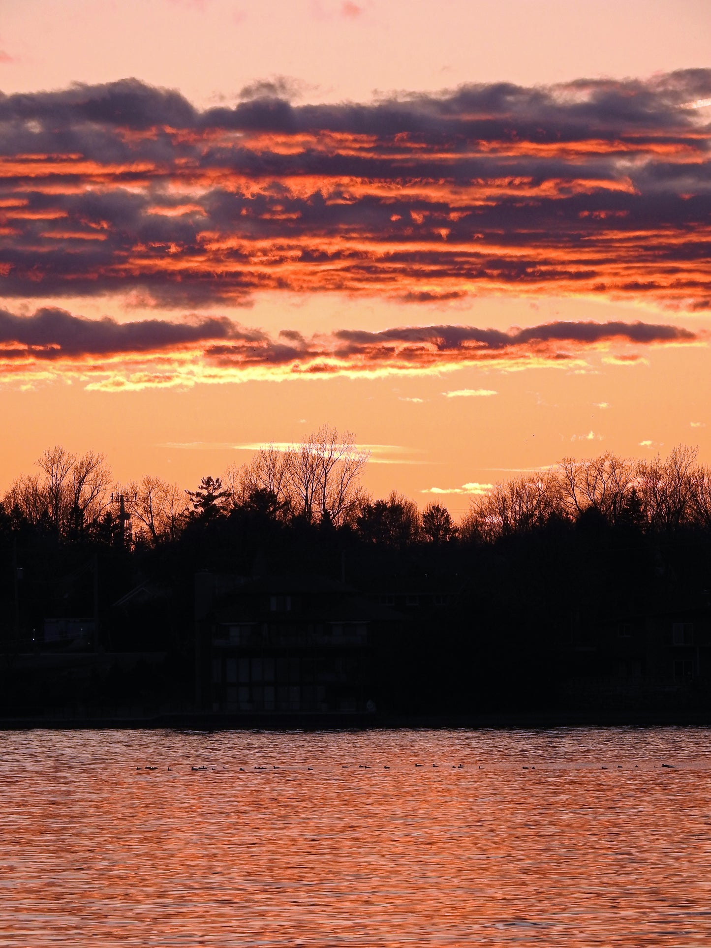 Photo by Nicole Horlor, Kingston, ON, Canada