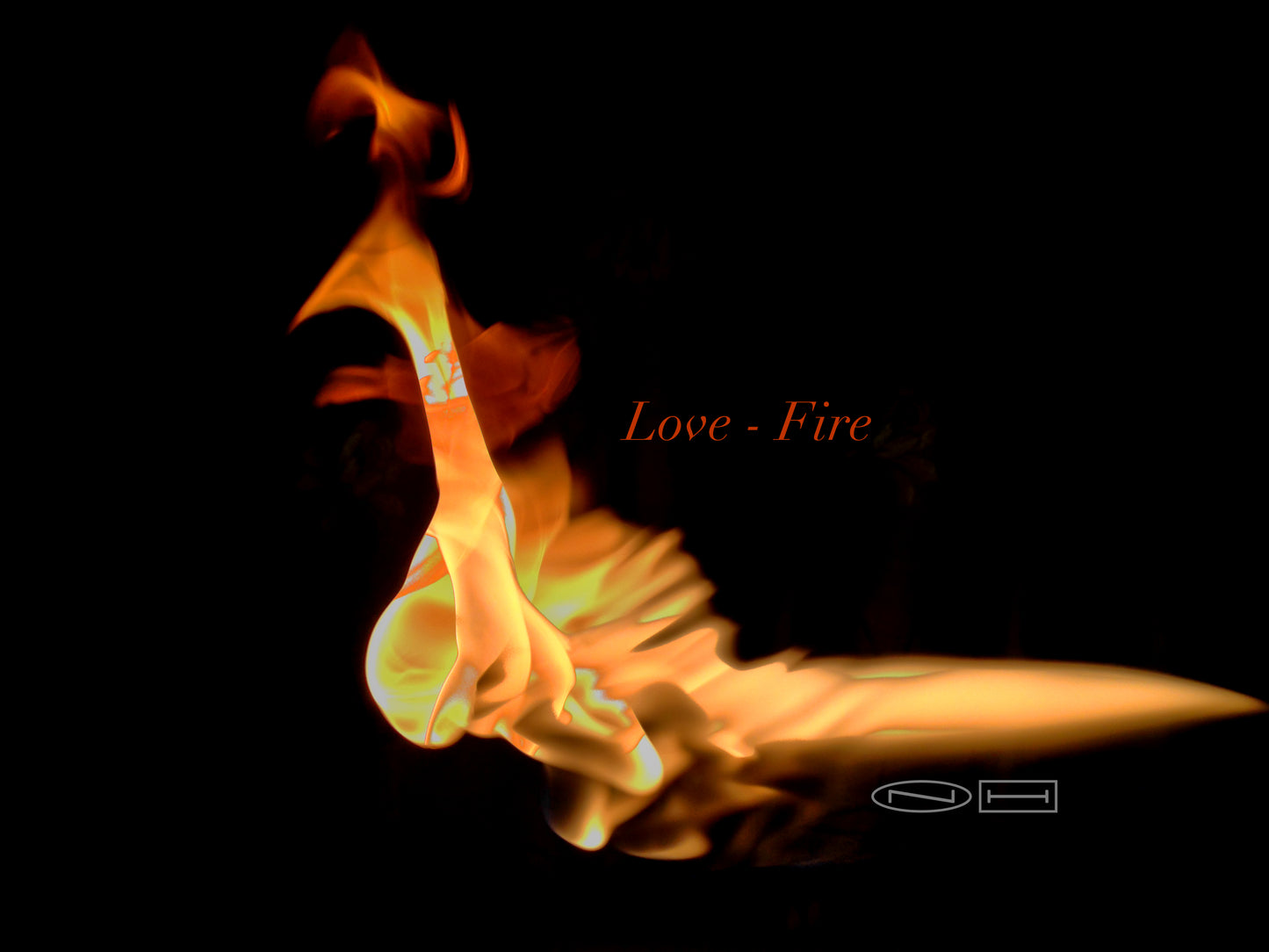 Photo's by Nicole Horlor, Lemoine Point, Kingston, ON, Canada