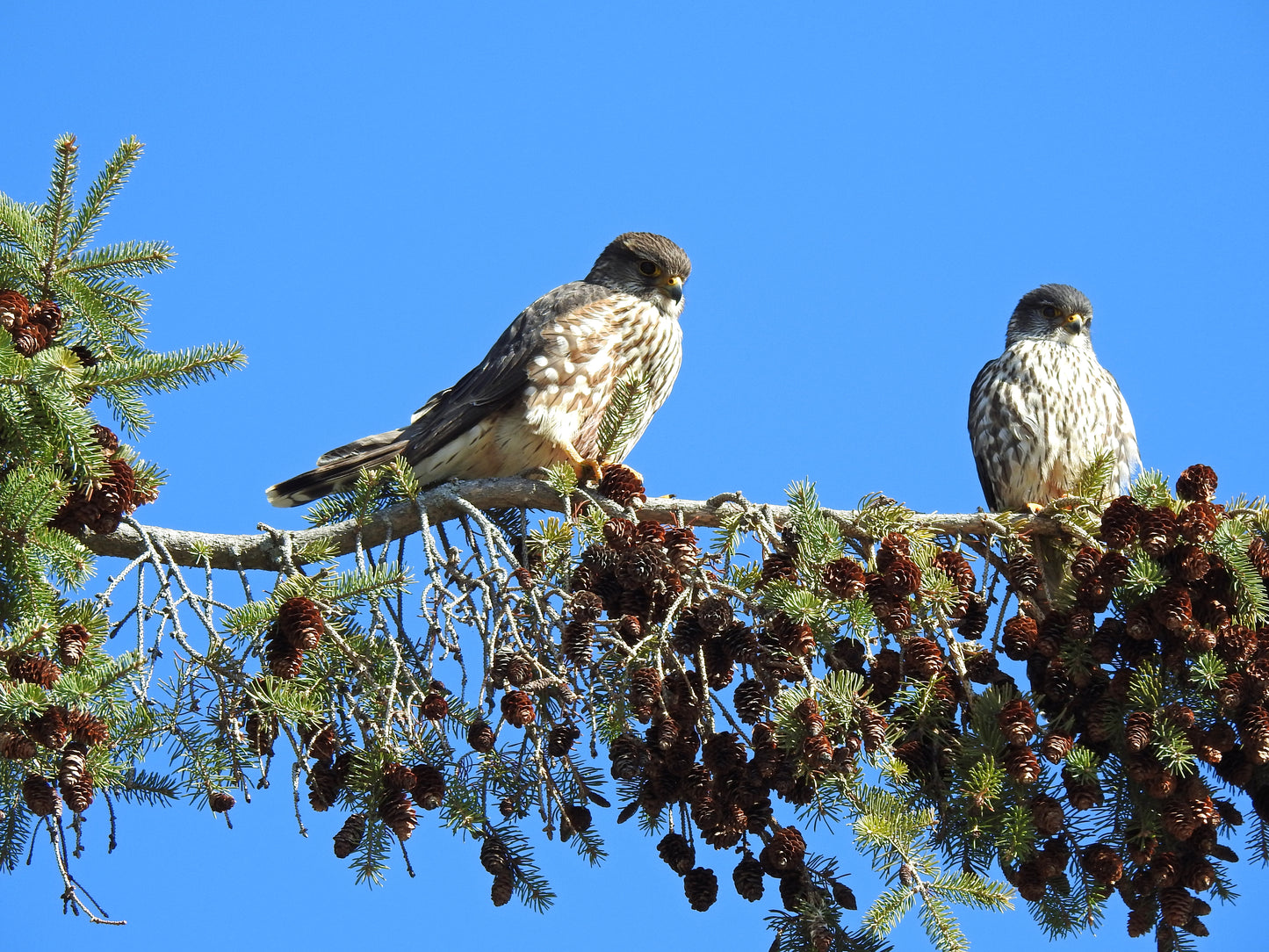 Walks in the neighbourhood