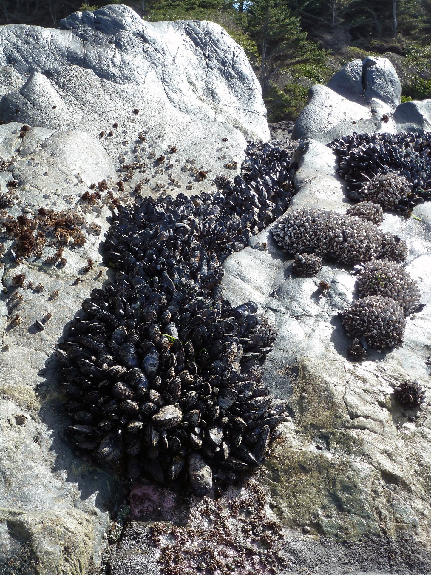 On the way - Point no point - heart pebble