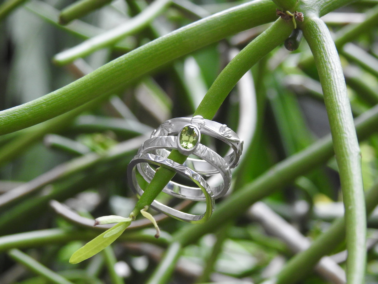 Into the garden ~ Blossom