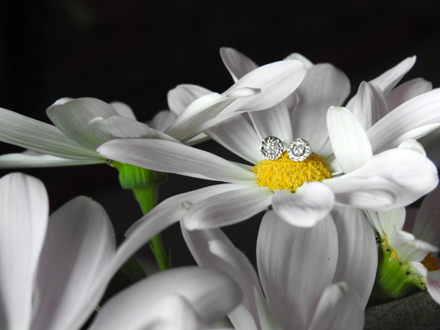 14kt white gold, Planish bezel studs by ZEALmetal, Nicole Horlor, in Kingston, ON, Canada