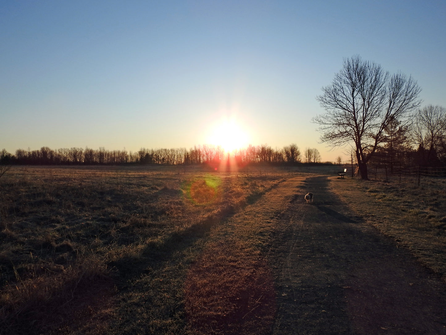 Photos by Nicole Horlor, Kingston, ON, Canada