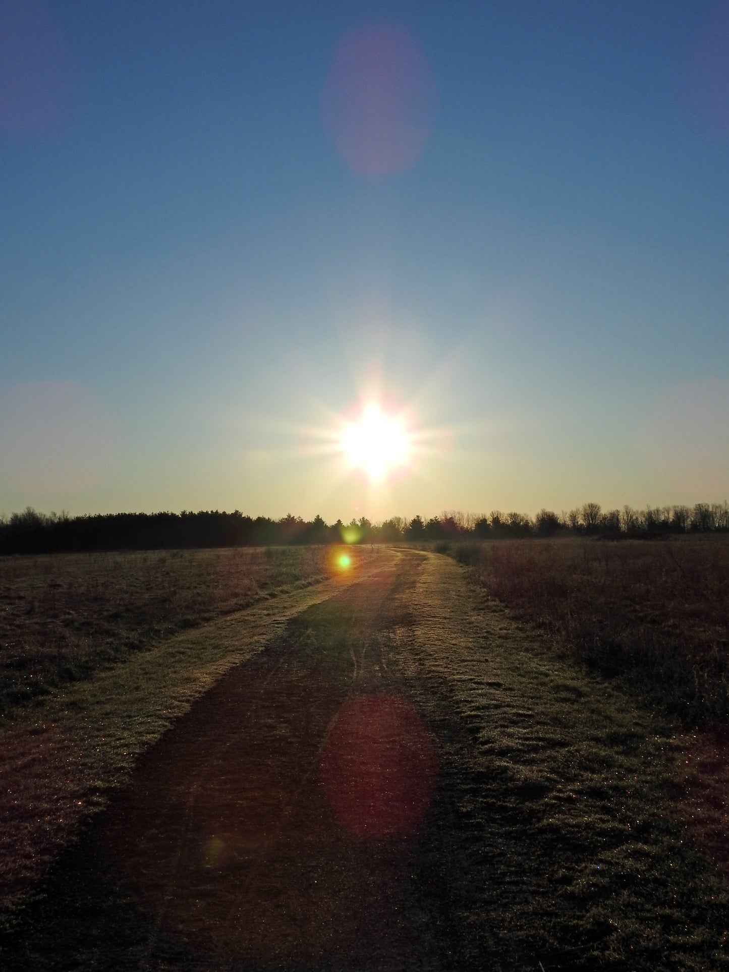 Photos by Nicole Horlor, Kingston, ON, Canada