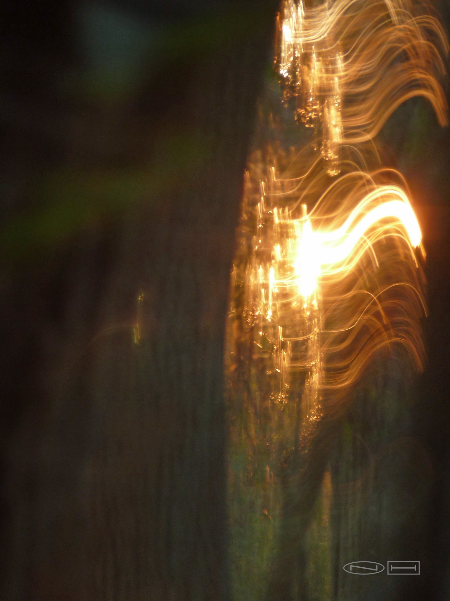 Photo's by Nicole Horlor, Lemoine Point, Kingston, ON, Canada