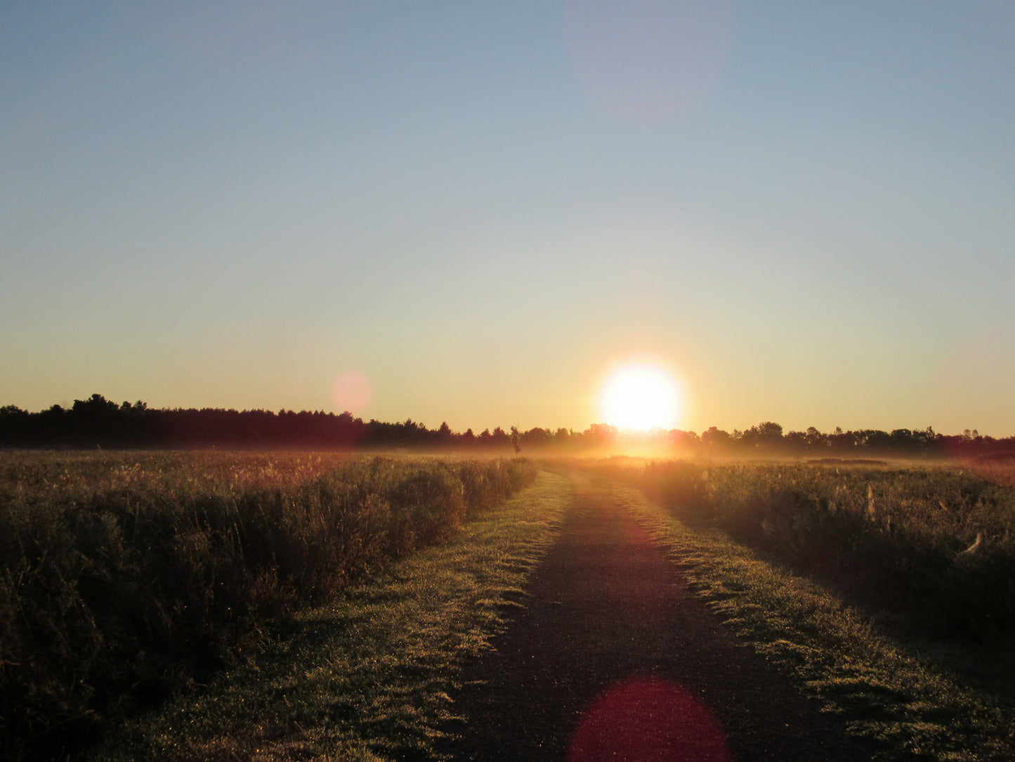 Photos by Nicole Horlor, Lemoine Point, Kingston, ON, Canada