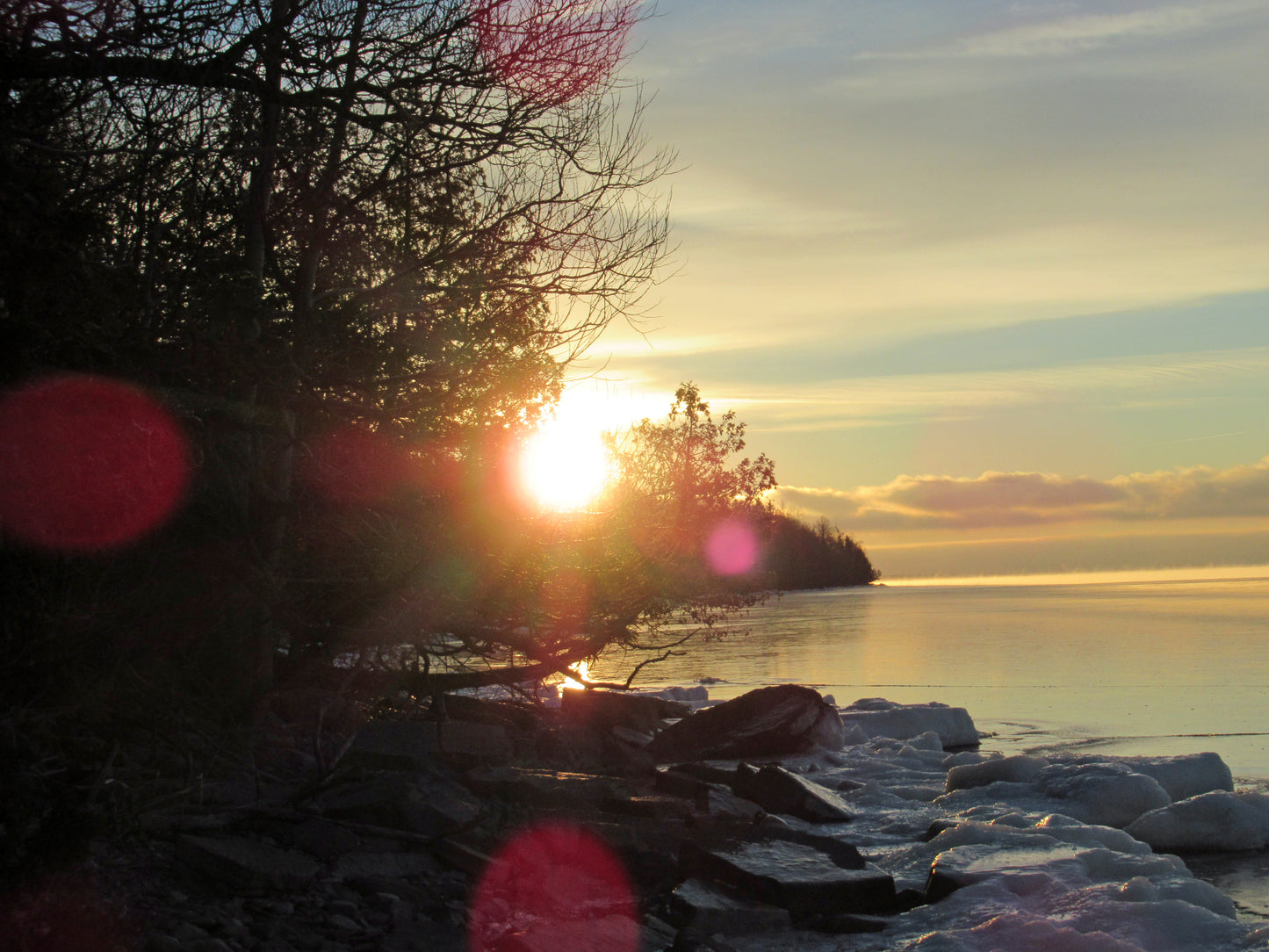 Photos by Nicole Horlor, Kingston, ON, Canada