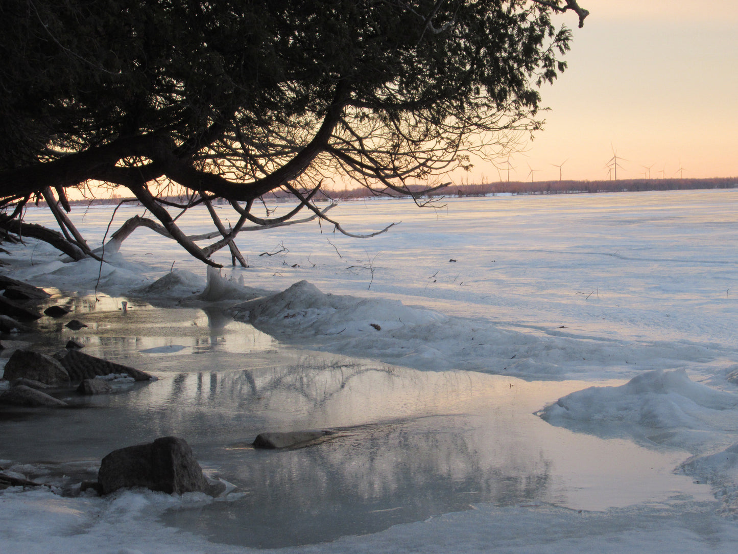 Photo's by Nicole Horlor, Lemoine Point, Kingston, ON, Canada