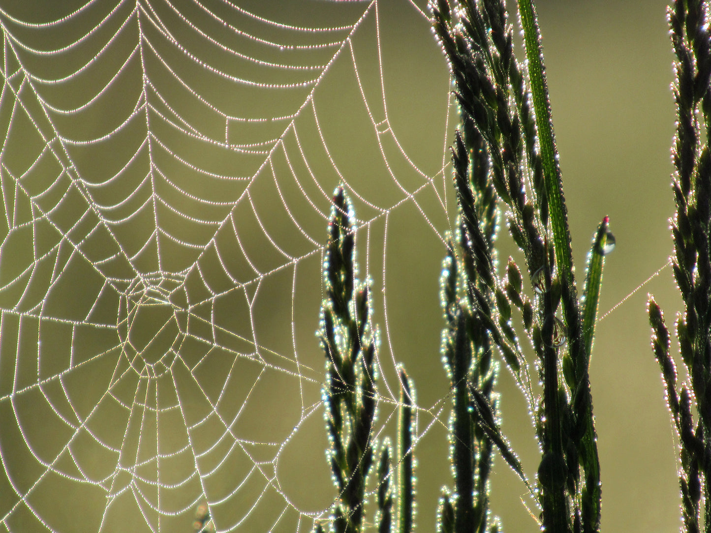 Photo's by Nicole Horlor, Lemoine Point, Kingston, ON, Canada
