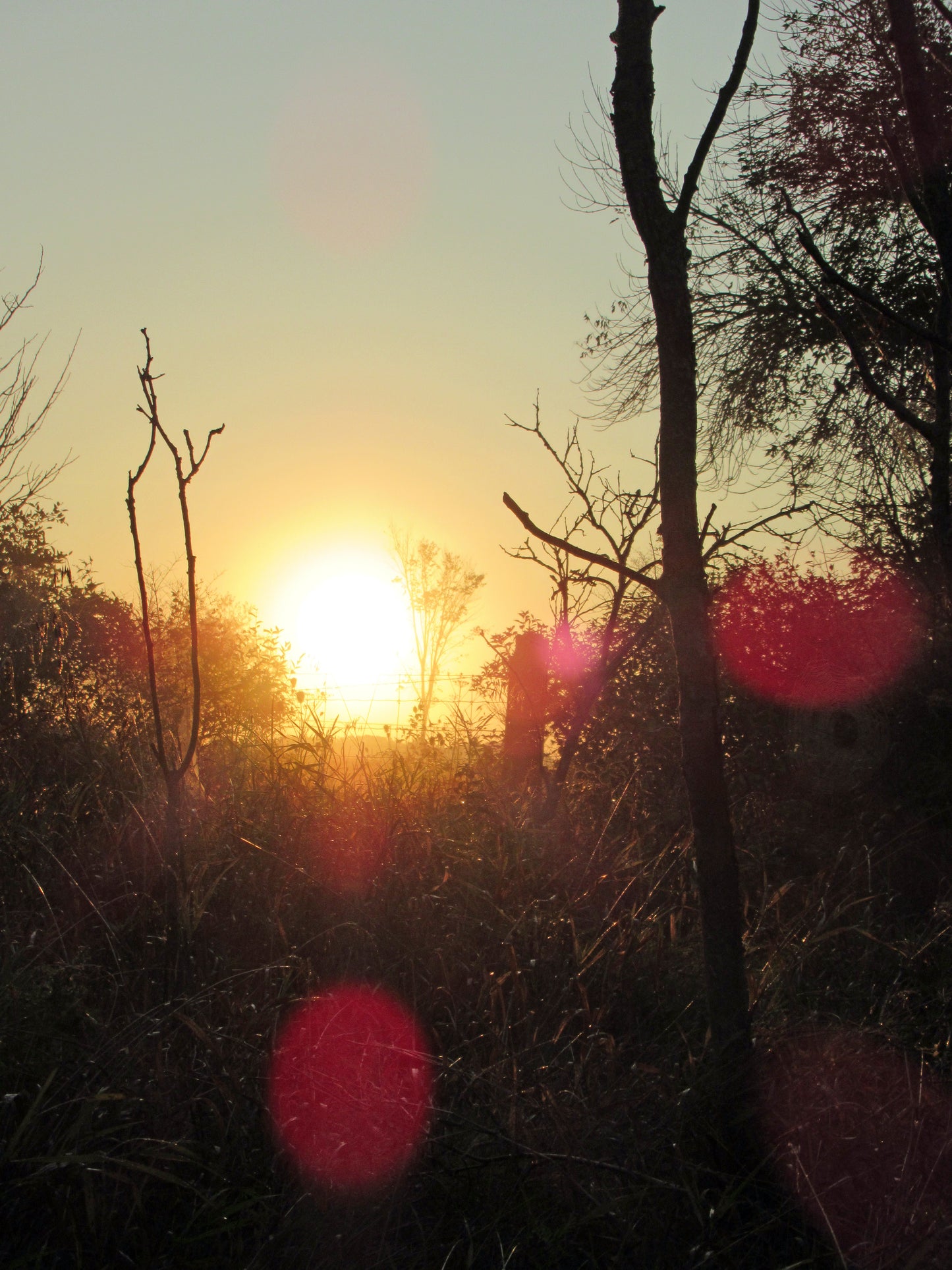 Photos by Nicole Horlor, Kingston, ON, Canada