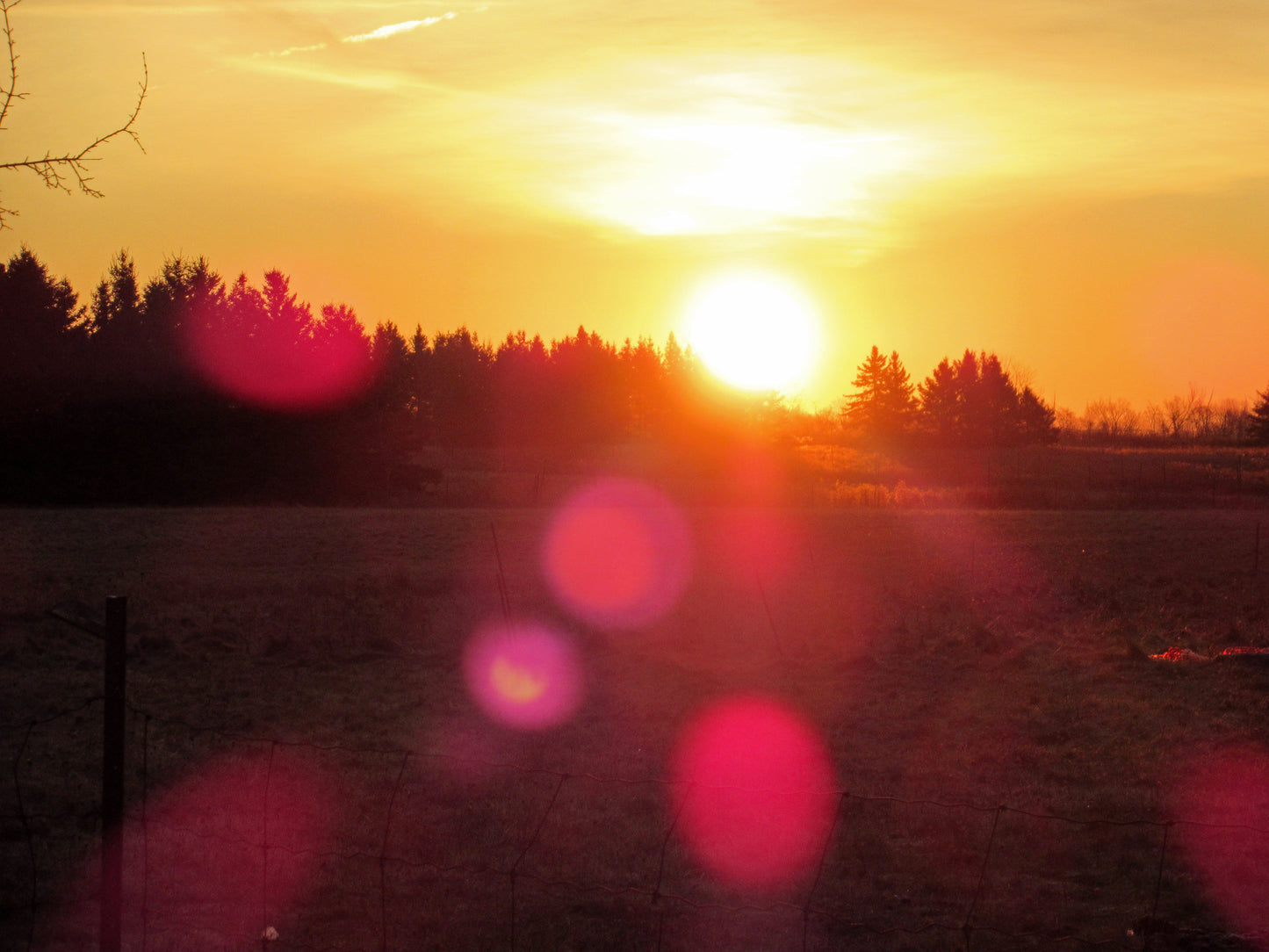 Photo's by Nicole Horlor, Lemoine Point, Kingston, ON, Canada