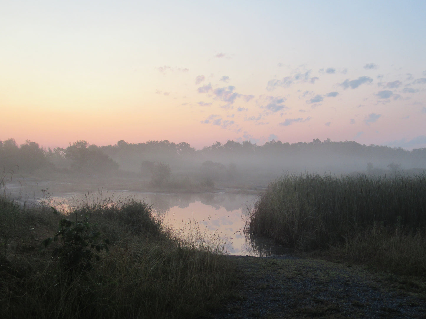 Photo's by Nicole Horlor, Lemoine Point, Kingston, ON, Canada