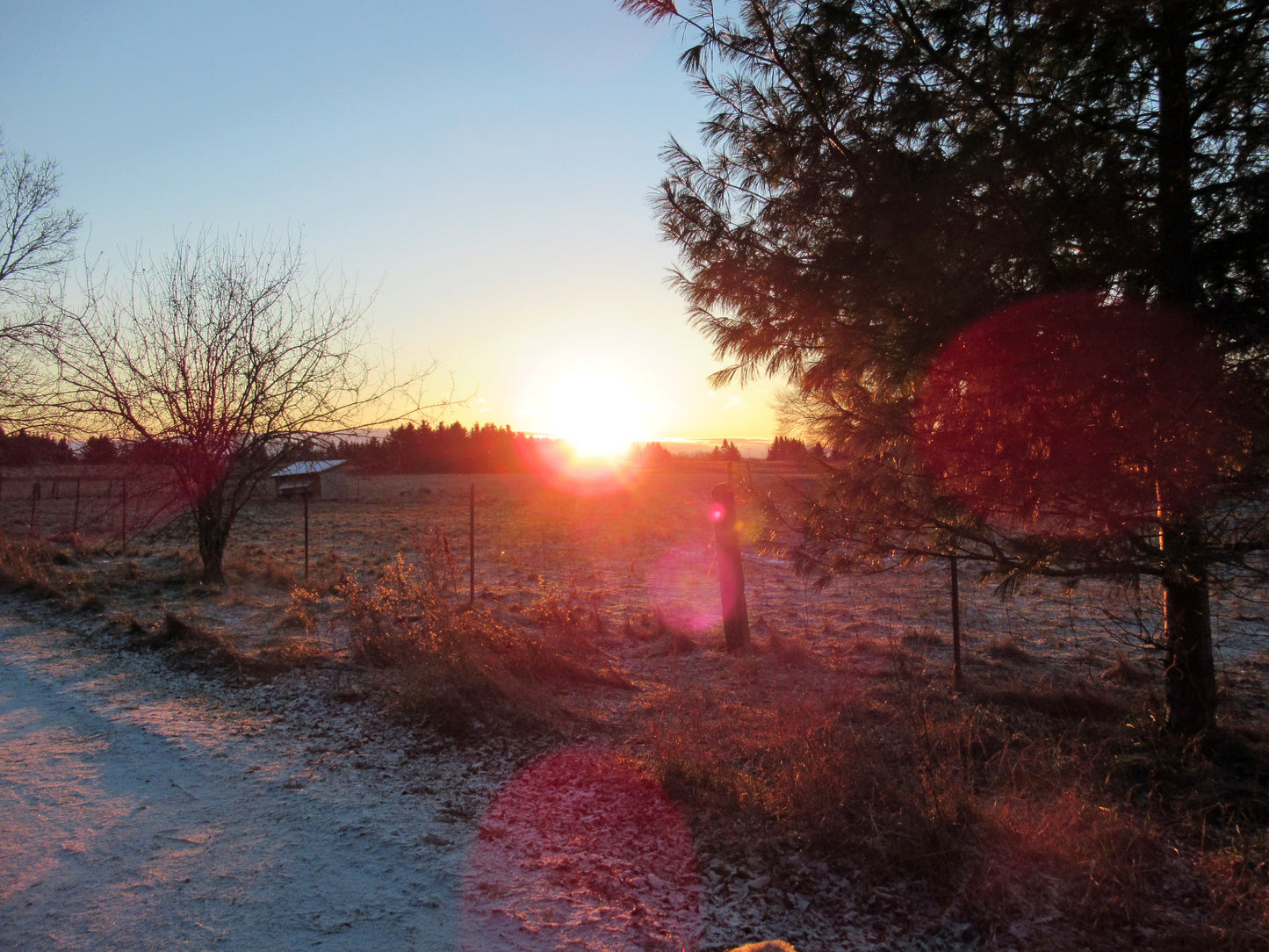 Photo's by Nicole Horlor, Lemoine Point, Kingston, ON, Canada