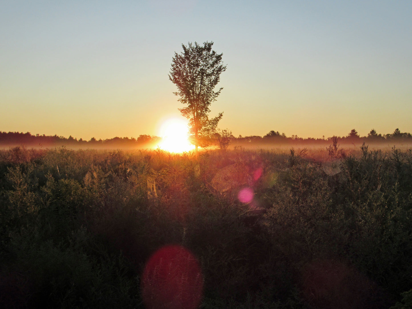 Photo's by Nicole Horlor, Lemoine Point, Kingston, ON, Canada