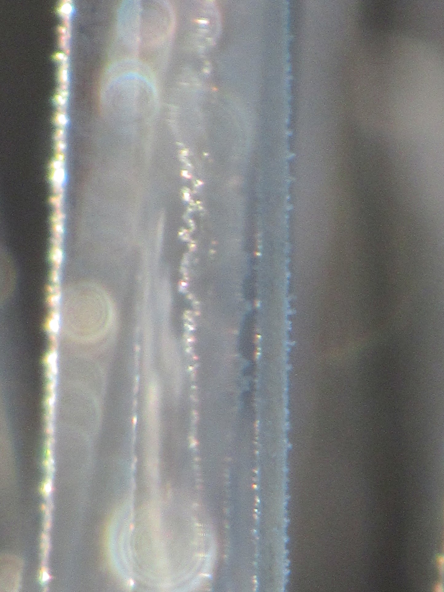 Photos by Nicole Horlor, in Kingston, ON, Canada, Lemoine Point