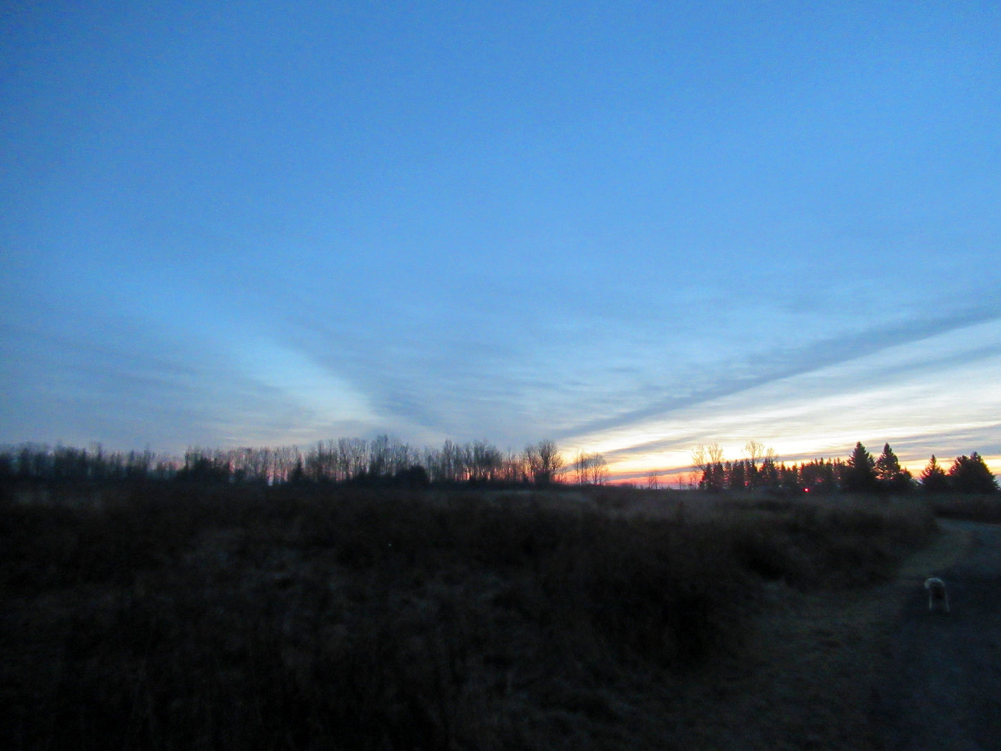 Photo's by Nicole Horlor, Lemoine Point, Kingston, ON, Canada