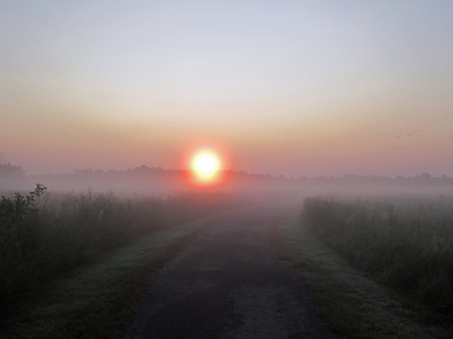 Photos by Nicole Horlor, Kingston, ON, Canada