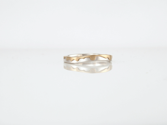 Handmade rings by ZEALmetal, Nicole Horlor in Kingston, ON, Canada, available for world wide shipping