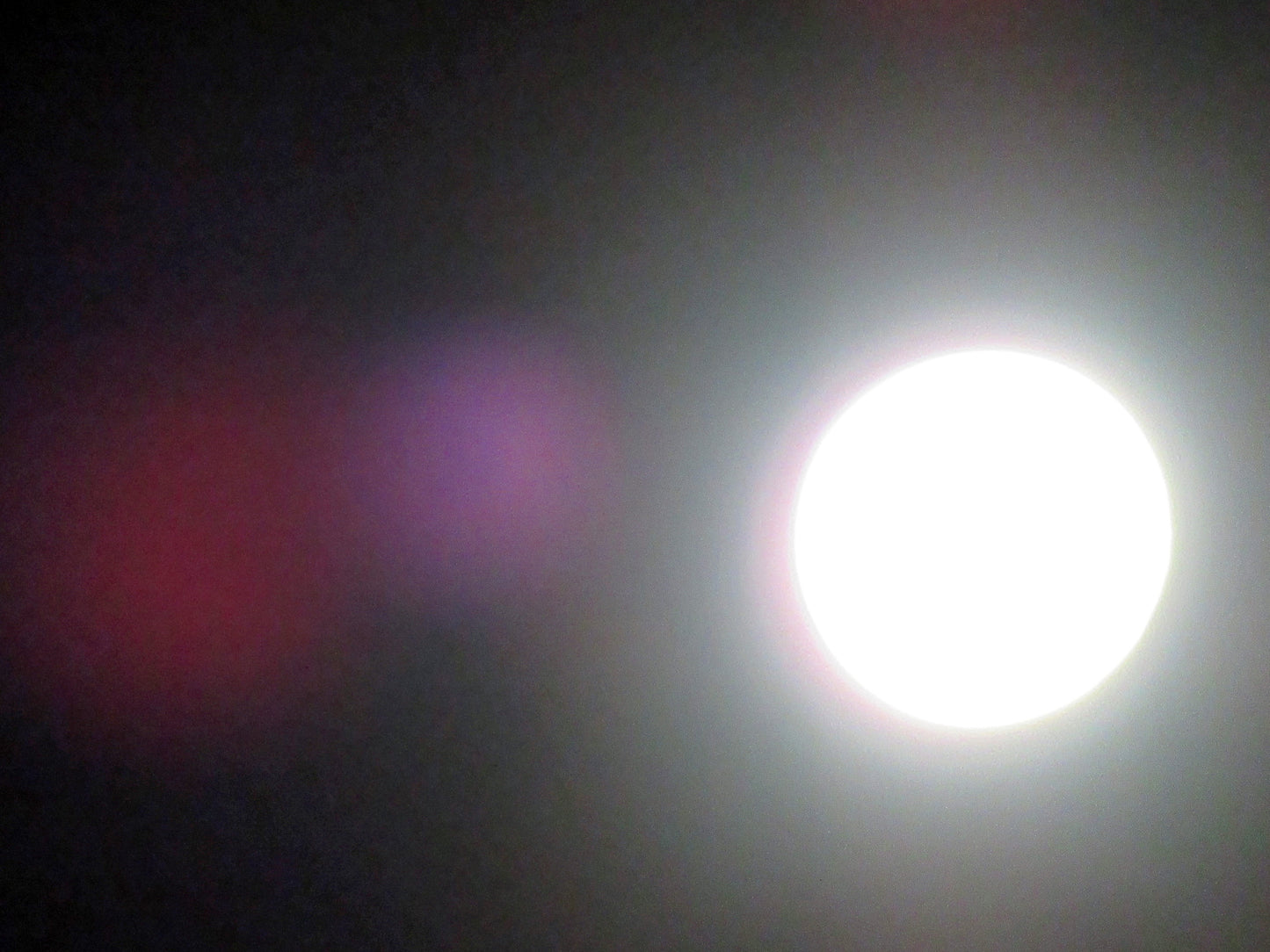 Photo's by Nicole Horlor, Lemoine Point, Kingston, ON, Canada