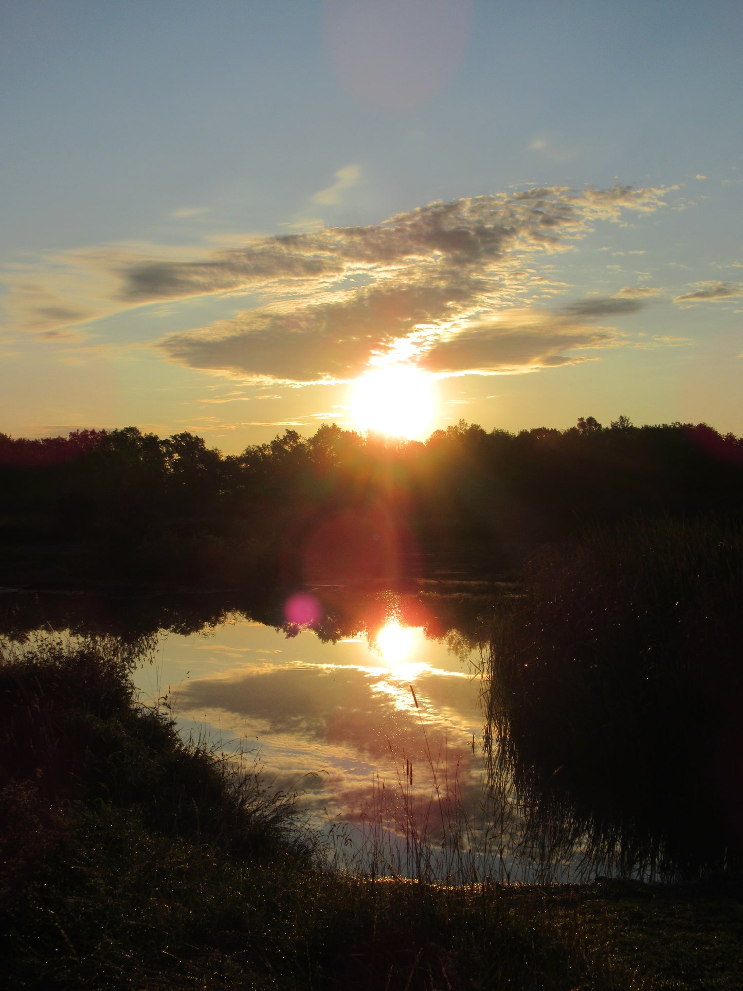 Photo's by Nicole Horlor, Lemoine Point, Kingston, ON, Canada