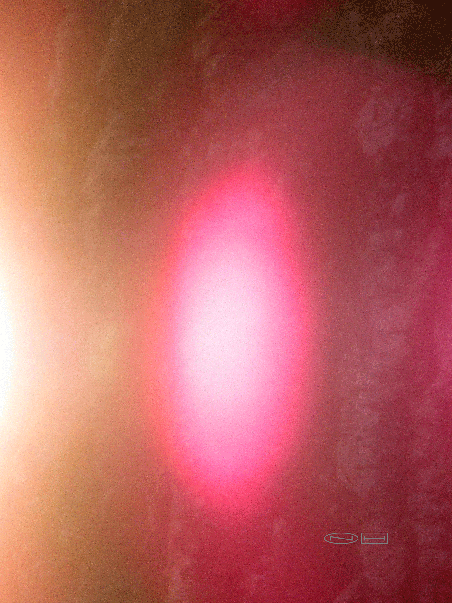 Photo's by Nicole Horlor, Lemoine Point, Kingston, ON, Canada