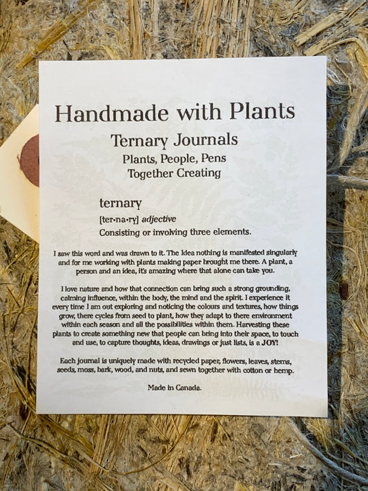 Sharing some of my sister's new work " ternary journals"