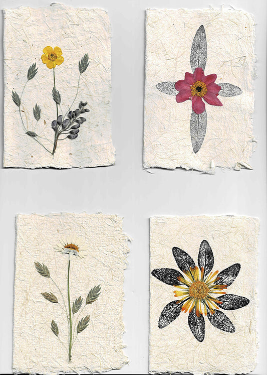 Ternary journals and Ternary botanicals