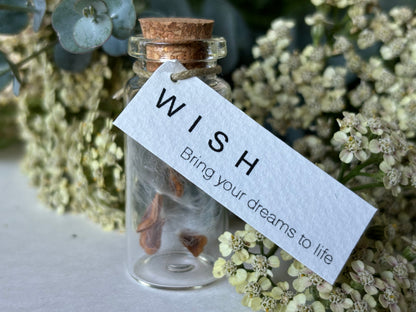 Wish