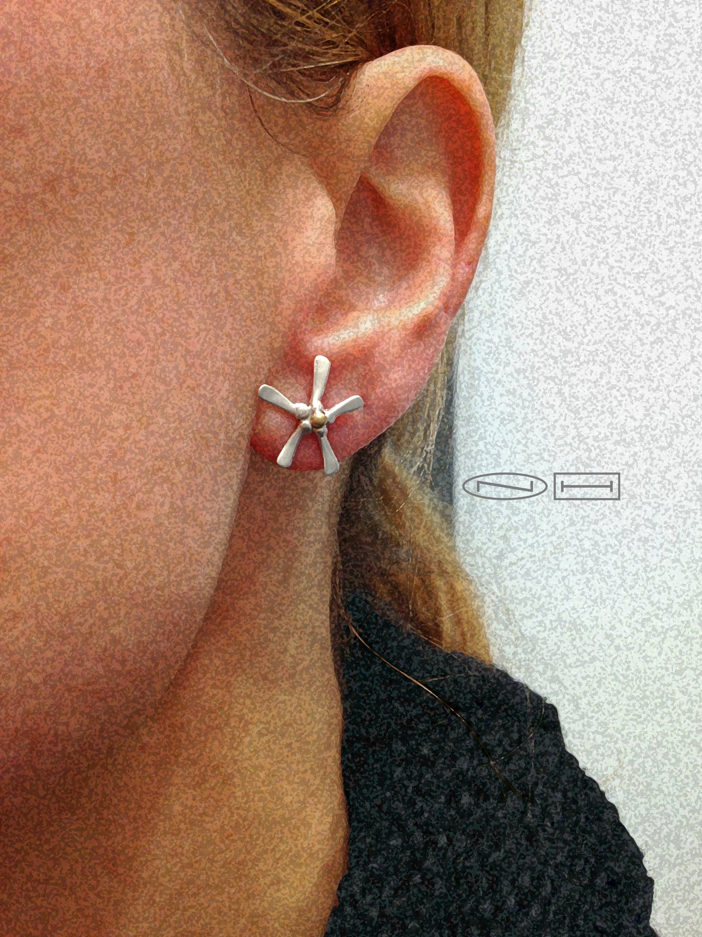 Aster studs
