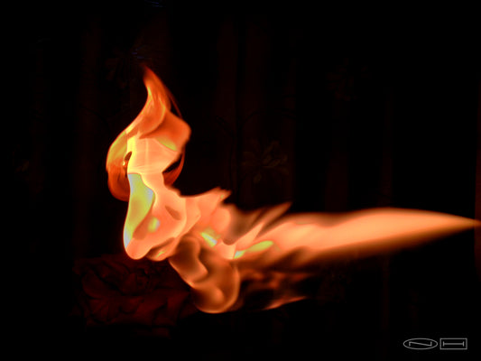 Photo's by Nicole Horlor, Lemoine Point, Kingston, ON, Canada