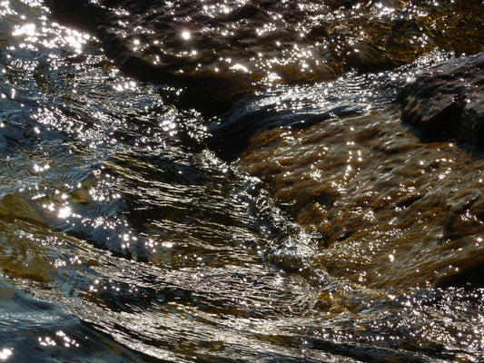 Photo's by Nicole Horlor, Kingston, ON, Canada