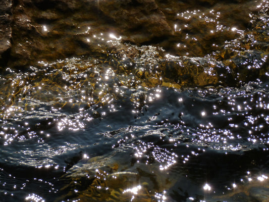 Photo's by Nicole Horlor, Kingston, ON, Canada