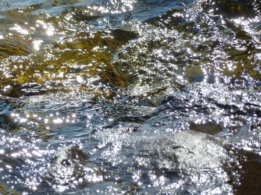 Photo's by Nicole Horlor, Kingston, ON, Canada