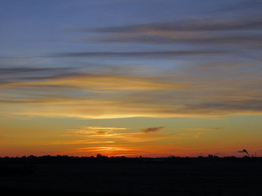 Photos by Nicole Horlor, Kingston, ON, Canada