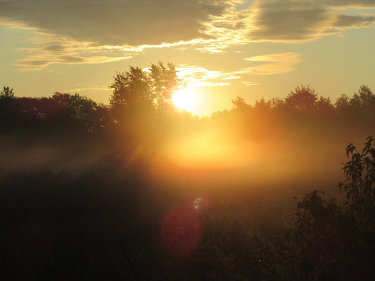 Photo's by Nicole Horlor, Lemoine Point, Kingston, ON, Canada