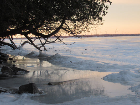 Photo's by Nicole Horlor, Lemoine Point, Kingston, ON, Canada