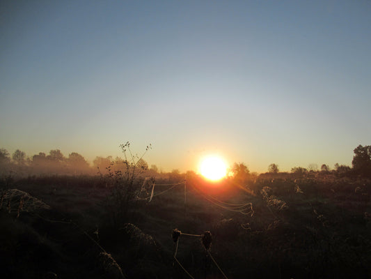 Photos by Nicole Horlor, Kingston, ON, Canada