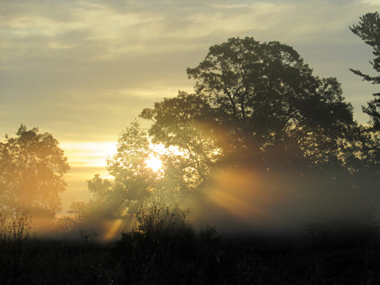 photos by Nicole Horlor, Kingston, ON, Canada