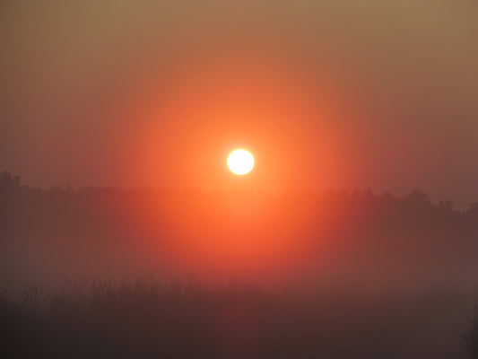 Photo's by Nicole Horlor, Lemoine Point, Kingston, ON, Canada