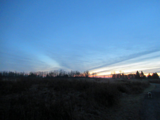 Photo's by Nicole Horlor, Lemoine Point, Kingston, ON, Canada